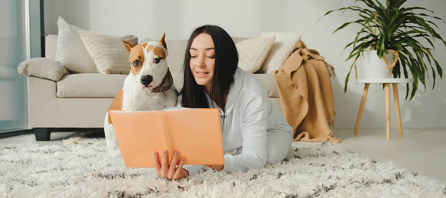 How to Help Your Dog Adjust to Big Life Changes